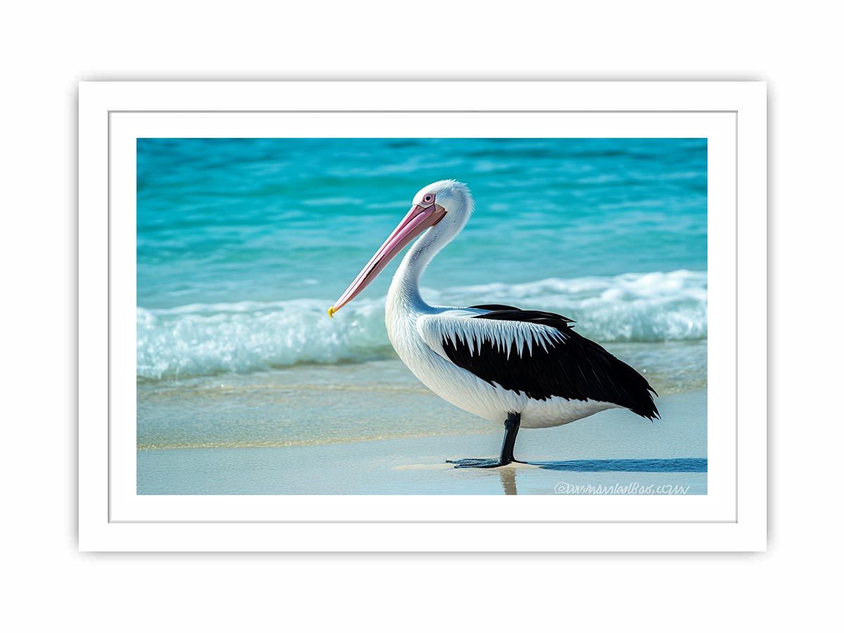 Pelican On Beach Streched canvas