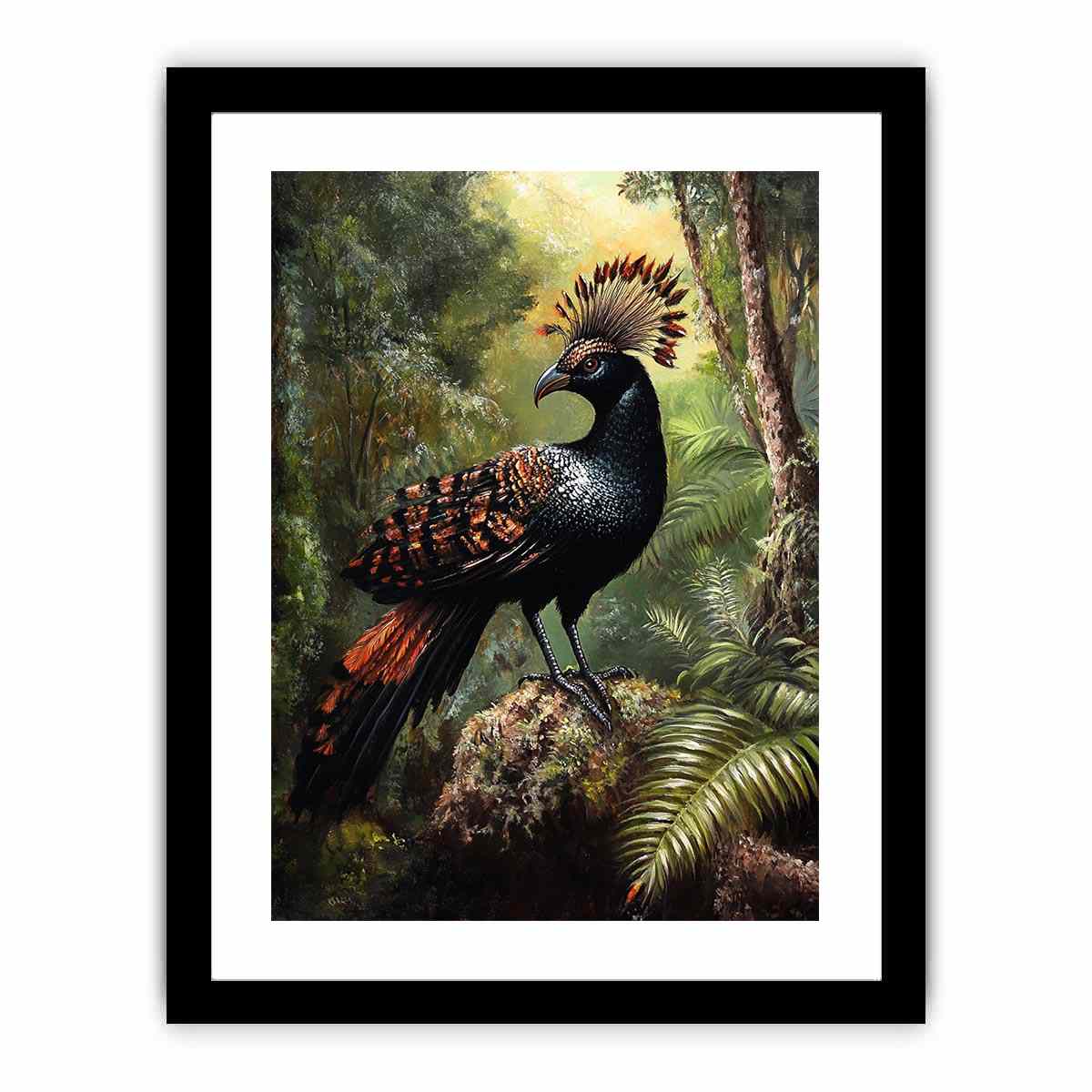 Lyrebird 2  Art Print