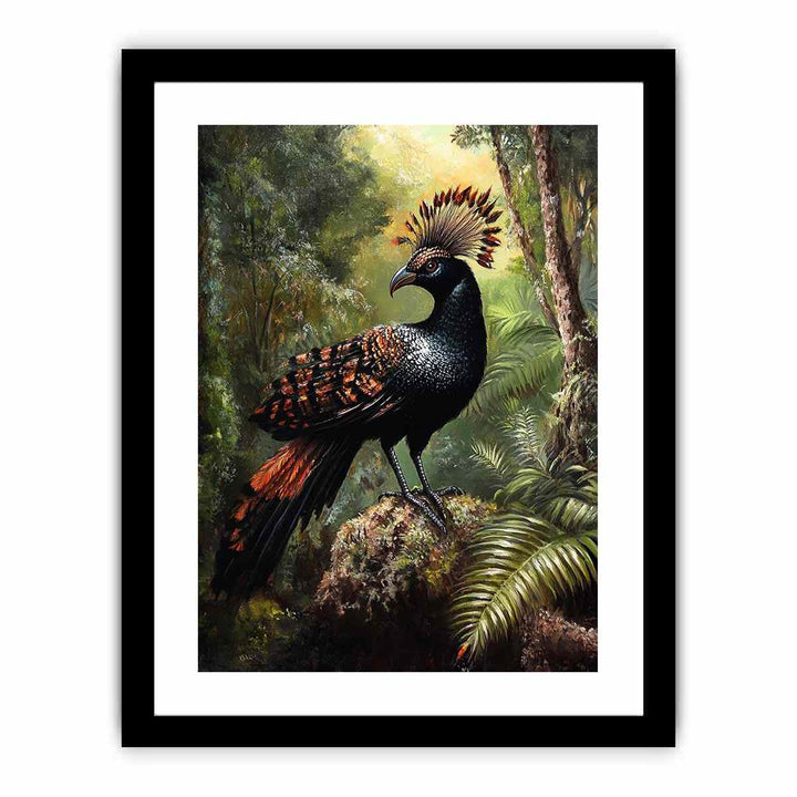 Lyrebird 2  Art Print
