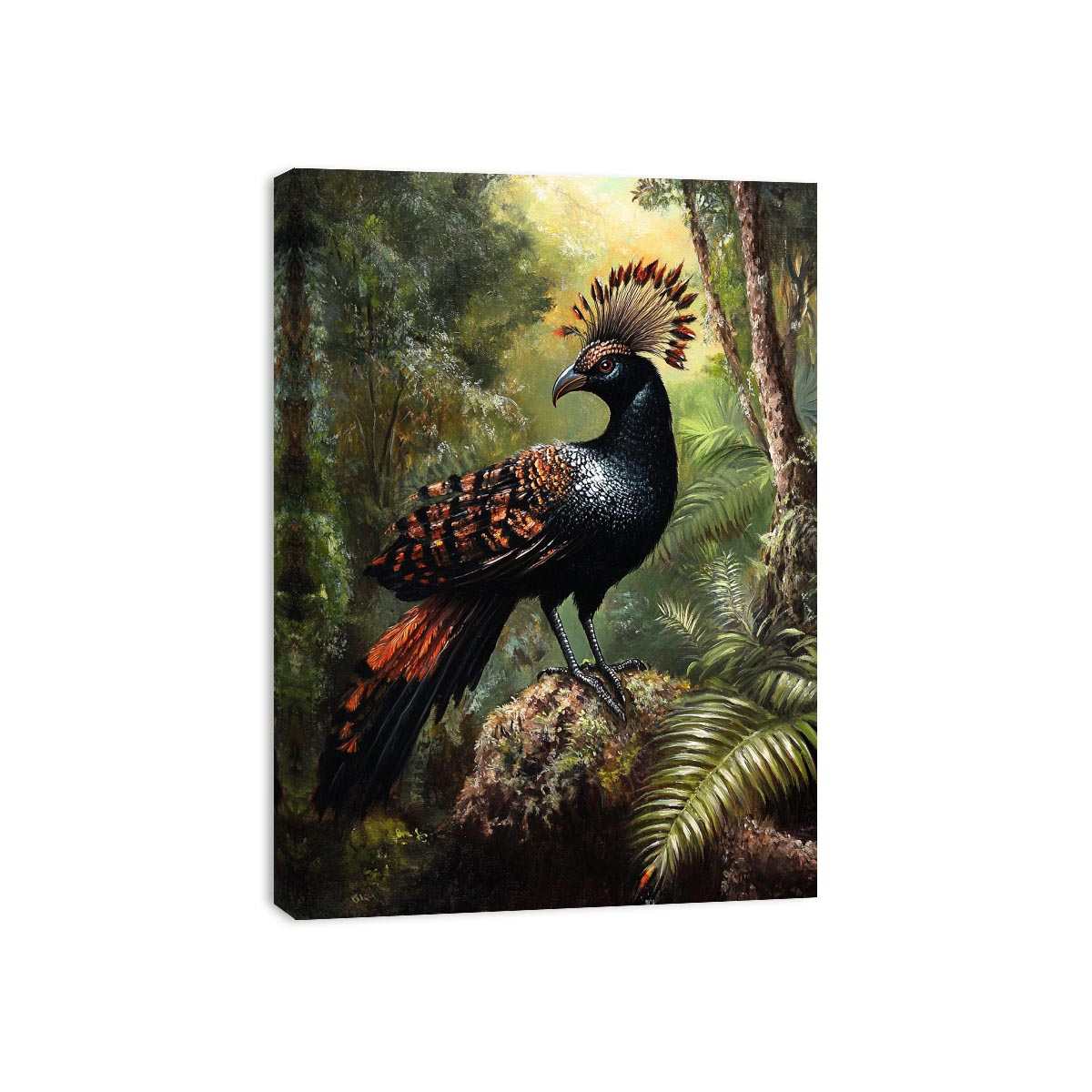 Lyrebird 2 Canvas Print
