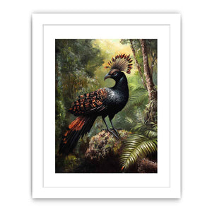Lyrebird 2 Streched canvas