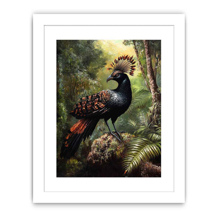Lyrebird 2 Streched canvas