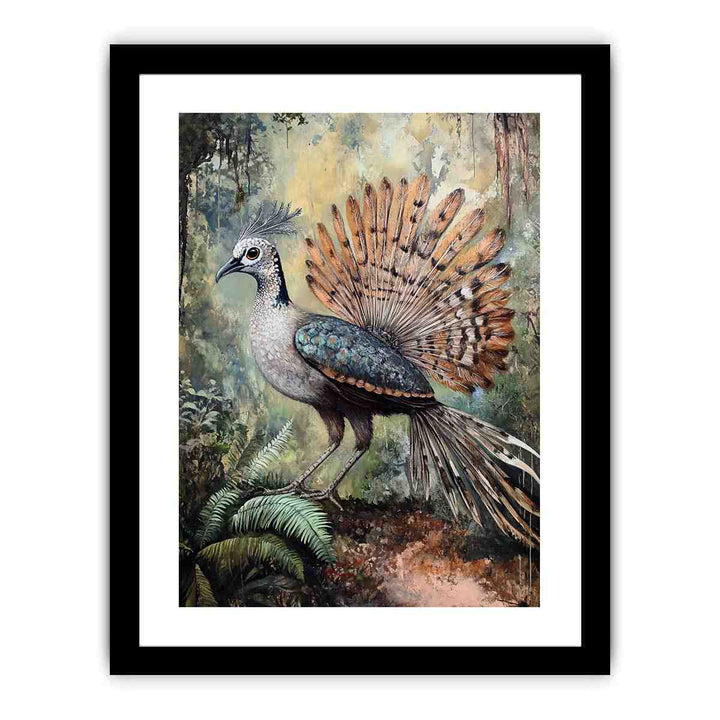 Lyrebird 3  Art Print