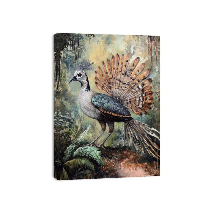 Lyrebird 3 Canvas Print