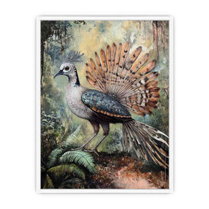 Lyrebird 3 Framed Print