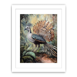 Lyrebird 3 Streched canvas