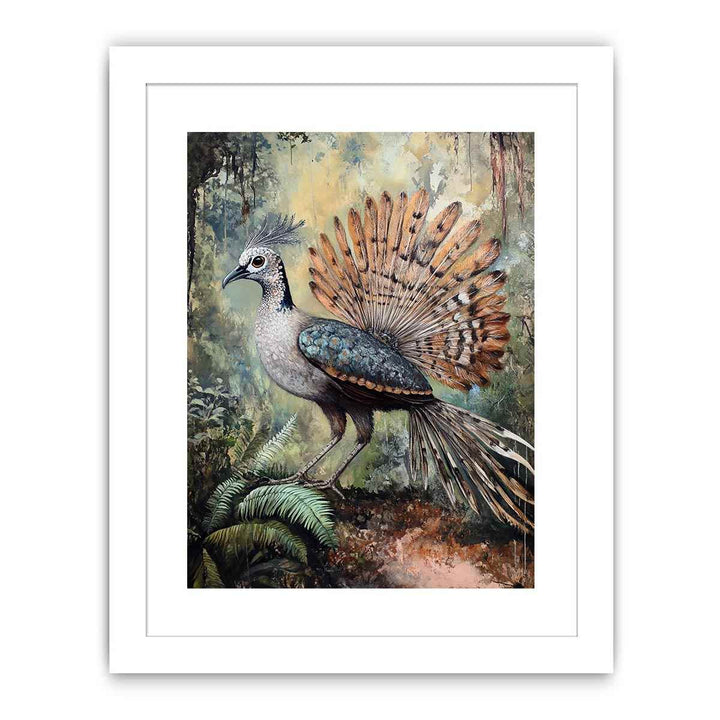 Lyrebird 3 Streched canvas
