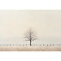 Veil Of Solitude