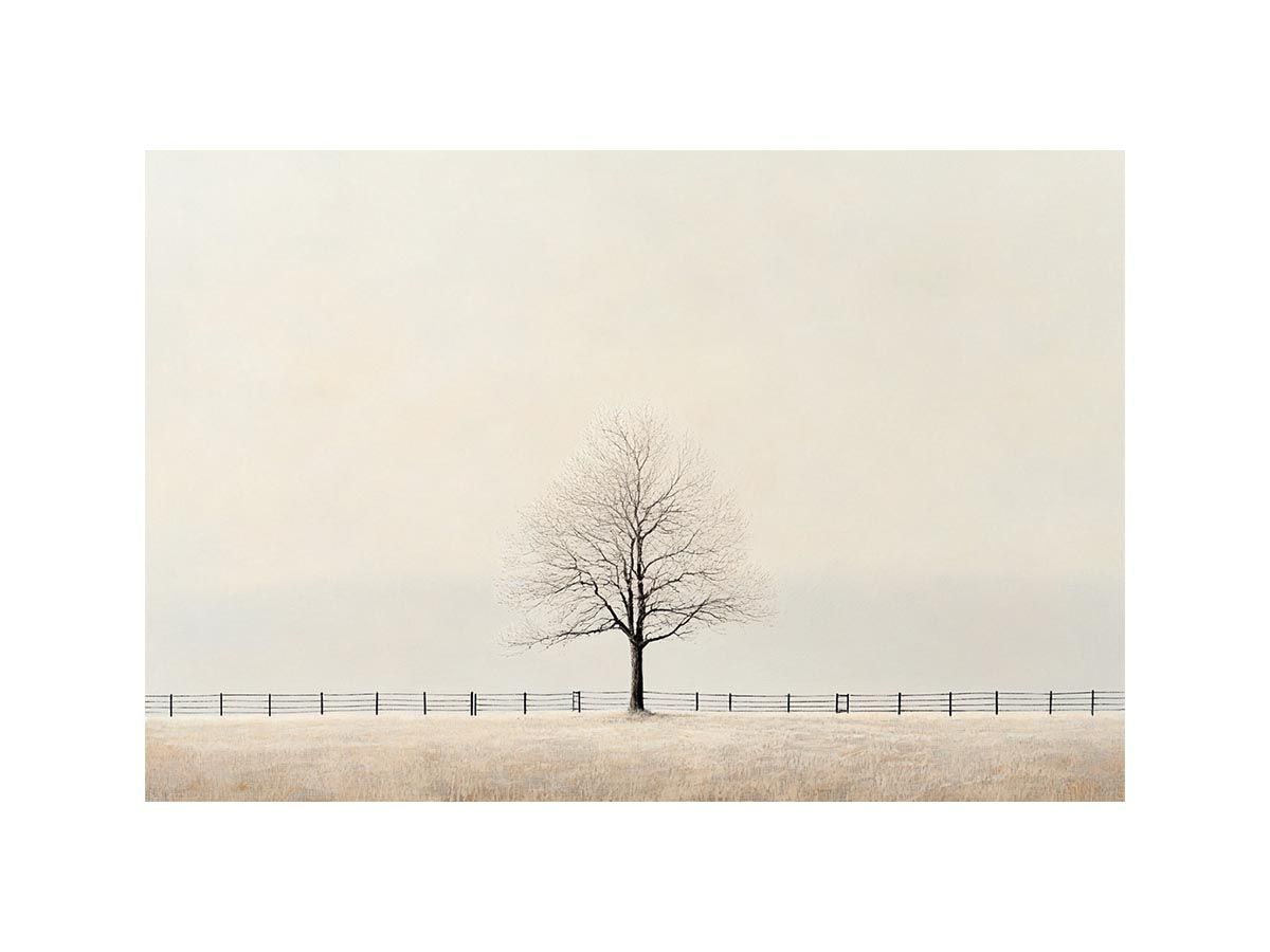 Veil Of Solitude