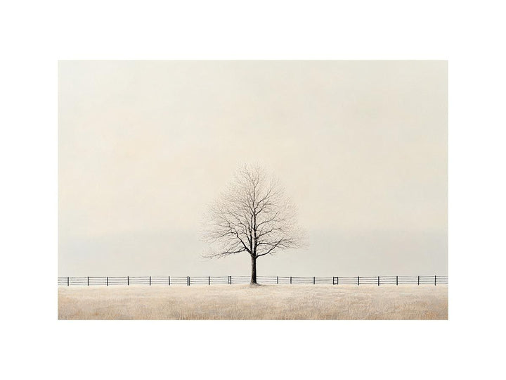 Veil Of Solitude