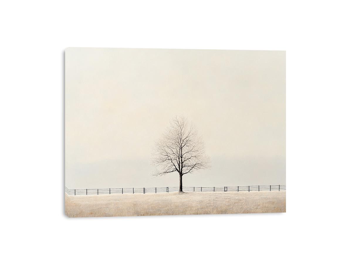 Veil Of Solitude Canvas Print