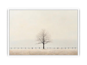 Veil Of Solitude Framed Print