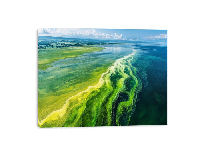 Beach Of Emerald Light Canvas Print