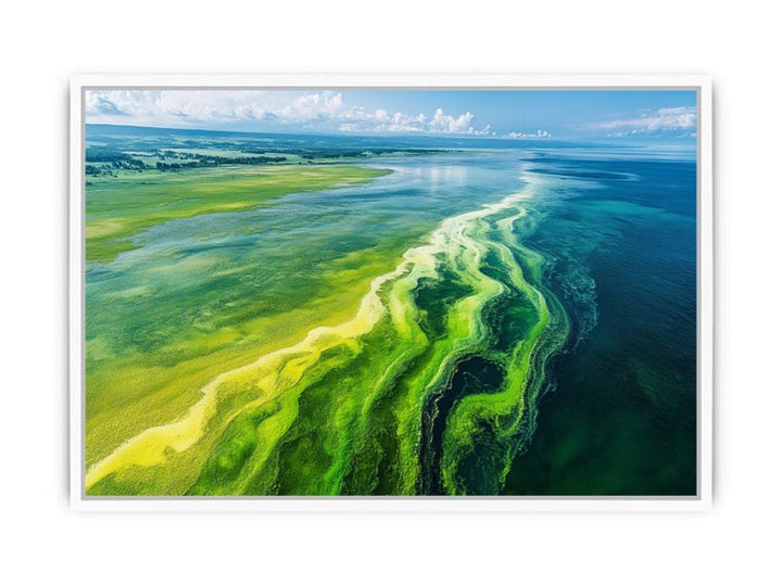 Beach Of Emerald Light Framed Print