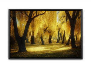 Golden willow forest canvas art with glowing trees and warm sunlight for living room wall decor.