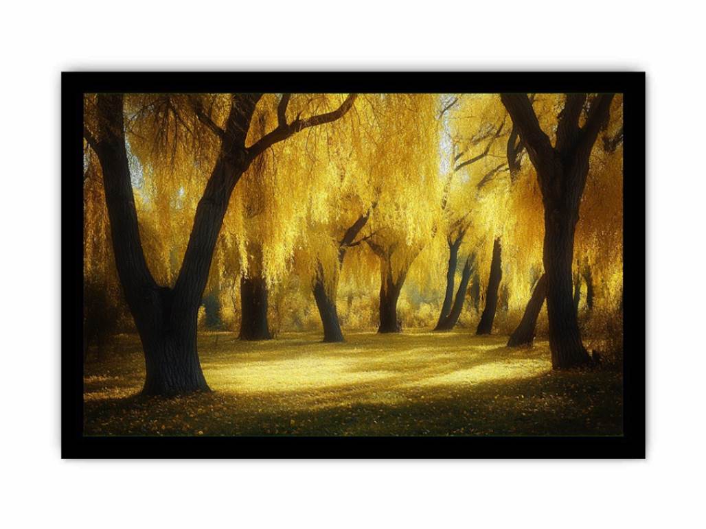 Golden willow forest canvas art with glowing trees and warm sunlight for living room wall decor.