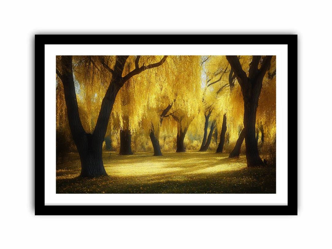 Golden willow forest canvas art with glowing trees and warm sunlight for living room wall decor.