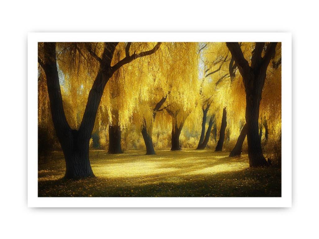 Golden willow forest canvas art with glowing trees and warm sunlight for living room wall decor.