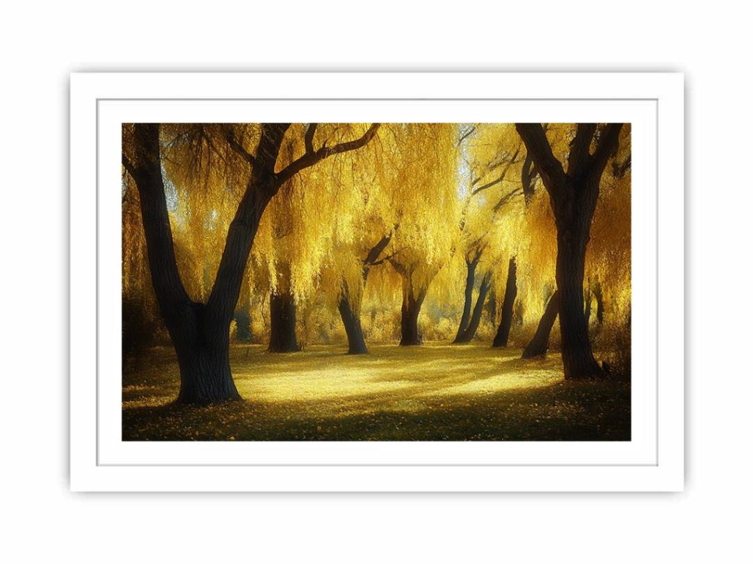 Golden willow forest canvas art with glowing trees and warm sunlight for living room wall decor.