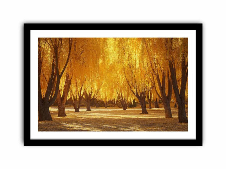 Autumn Shine  Art Print