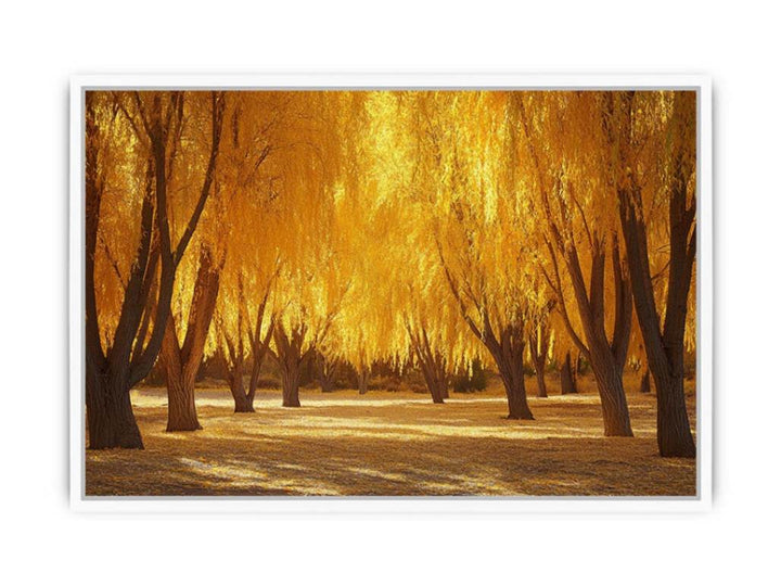 Autumn Shine Framed Print