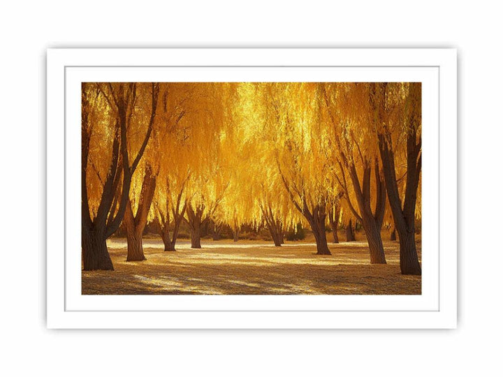 Autumn Shine Streched canvas