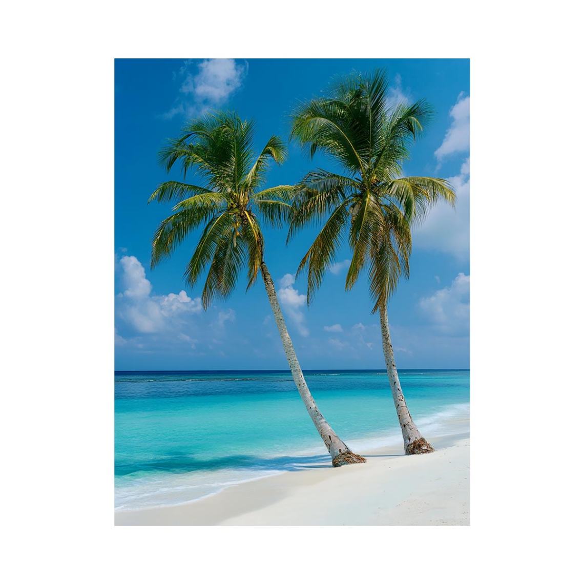 Tropical palm trees by turquoise ocean for coastal living room decor
