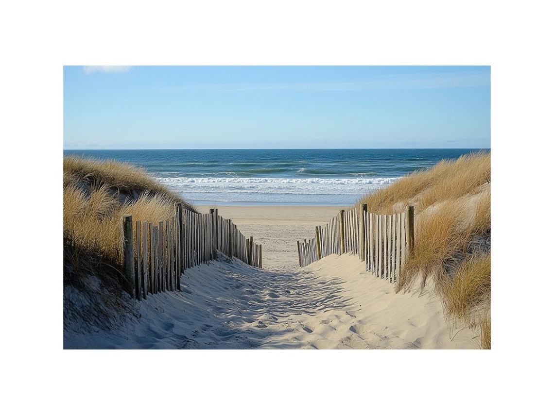 Beach pathway through dunes artwork for coastal living room decor
