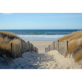 To The Beach, Gently