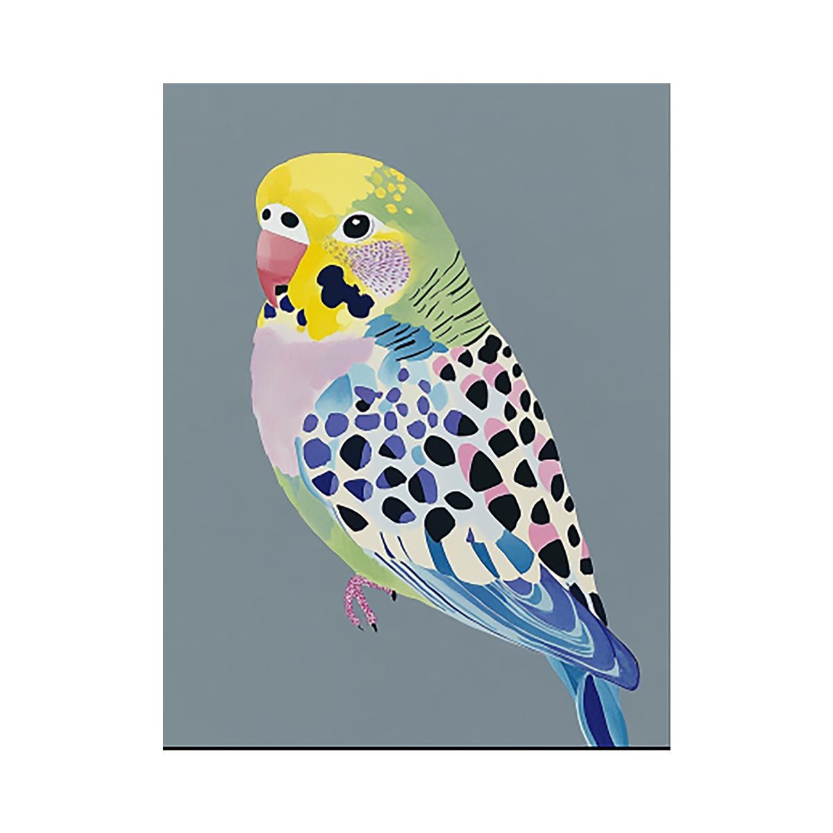 Colorful budgerigar illustration wall art for modern living room decor