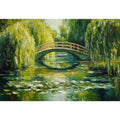 Water Lilly Pond