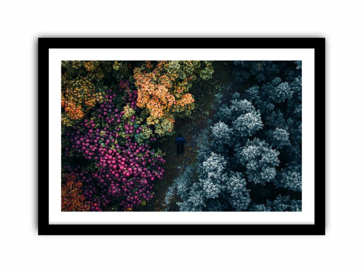 The Wildflower Path  Art Print