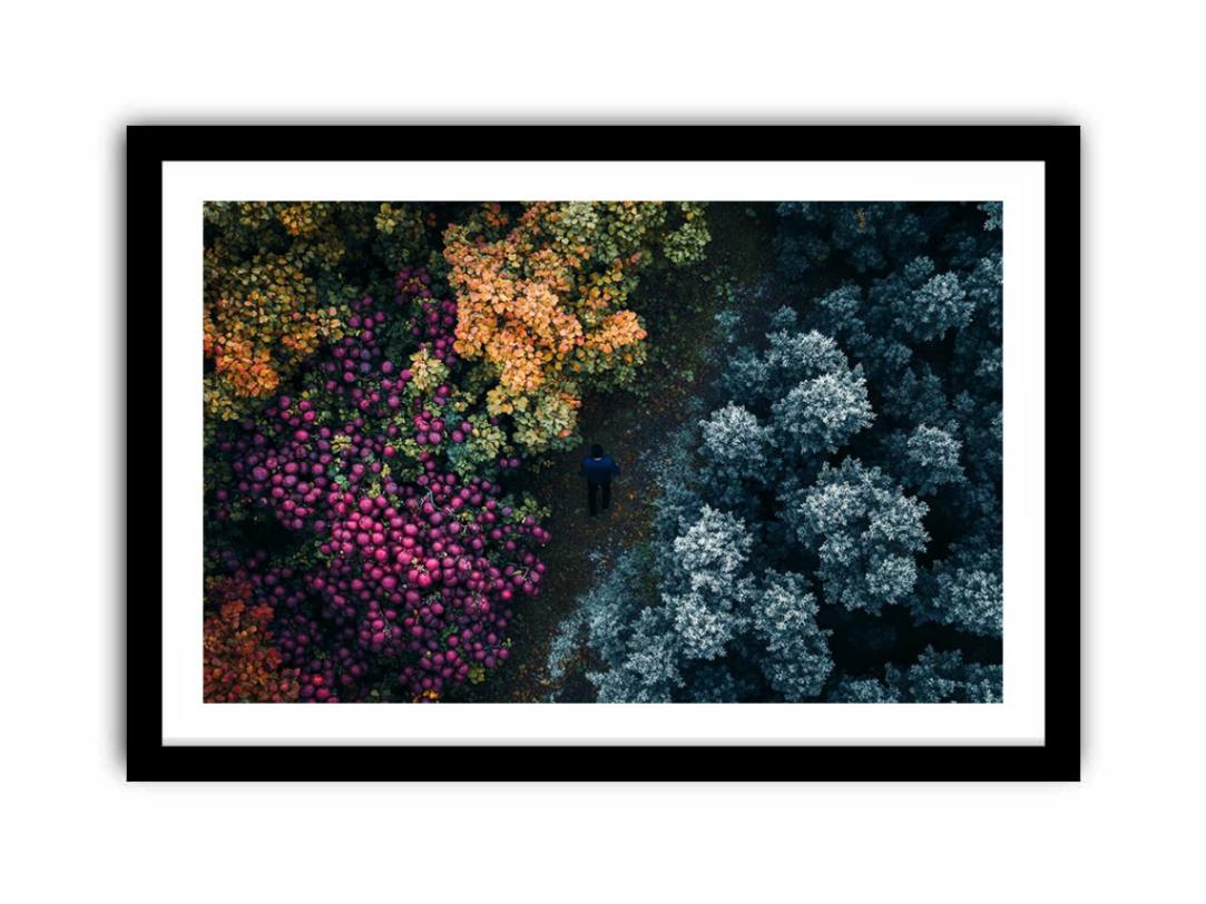 Framed Print