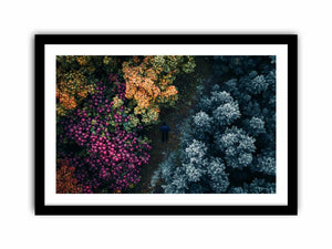 Framed Print