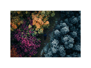 Aerial orchard canvas art with colorful trees and fruit for modern living room decor.