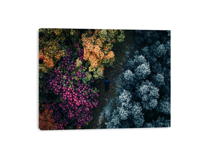 The Wildflower Path Canvas Print