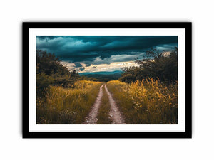 Framed Print