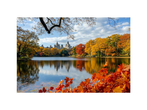 Harvest Hues