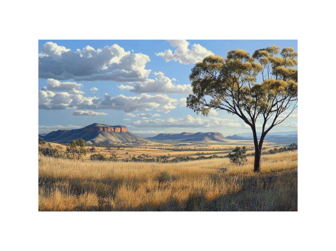Wide golden outback landscape canvas art with gum tree for living room decor.