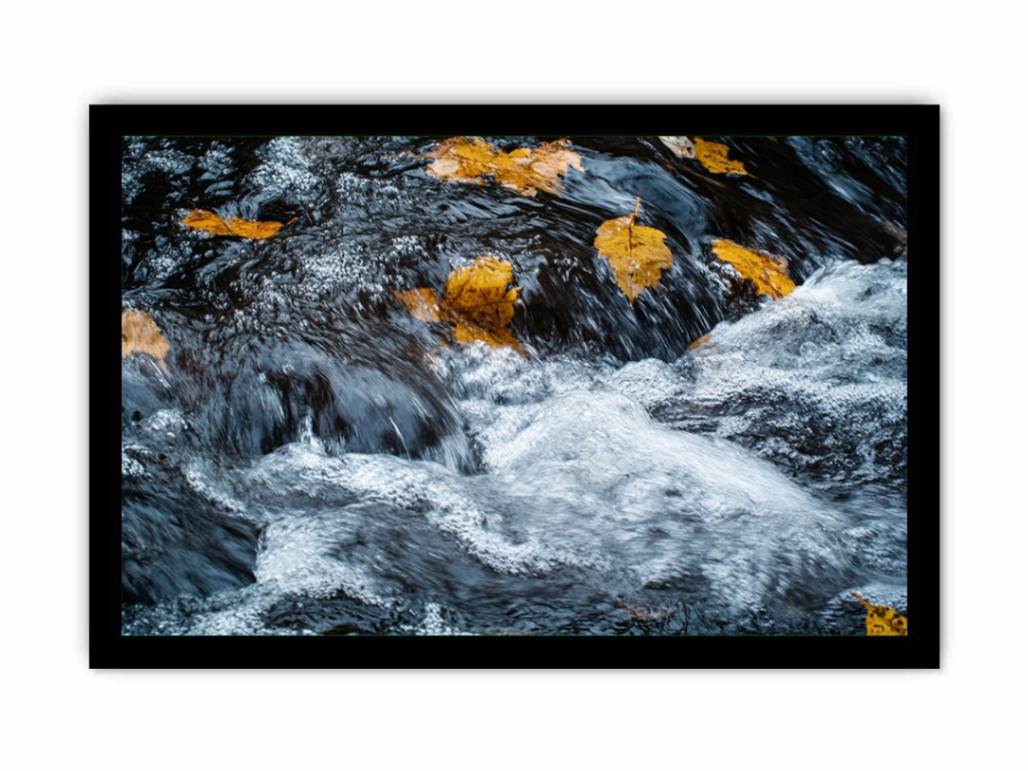 Rushing river photography canvas with autumn leaves for modern office or living room decor.