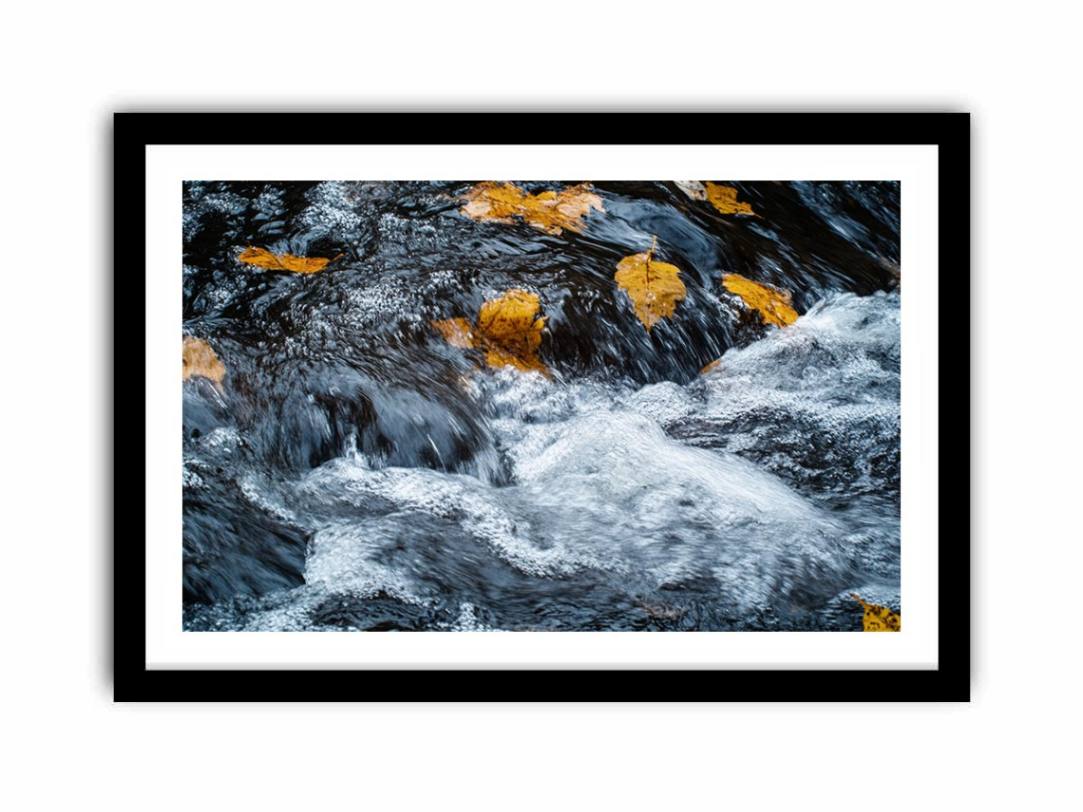 Framed Print
