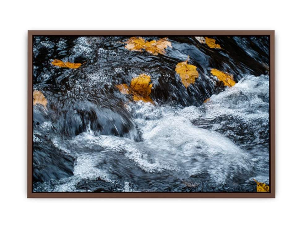Rushing river photography canvas with autumn leaves for modern office or living room decor.