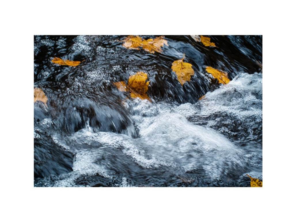 Rushing river photography canvas with autumn leaves for modern office or living room decor.