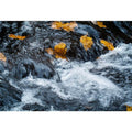Autumn River