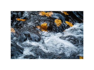 Autumn River