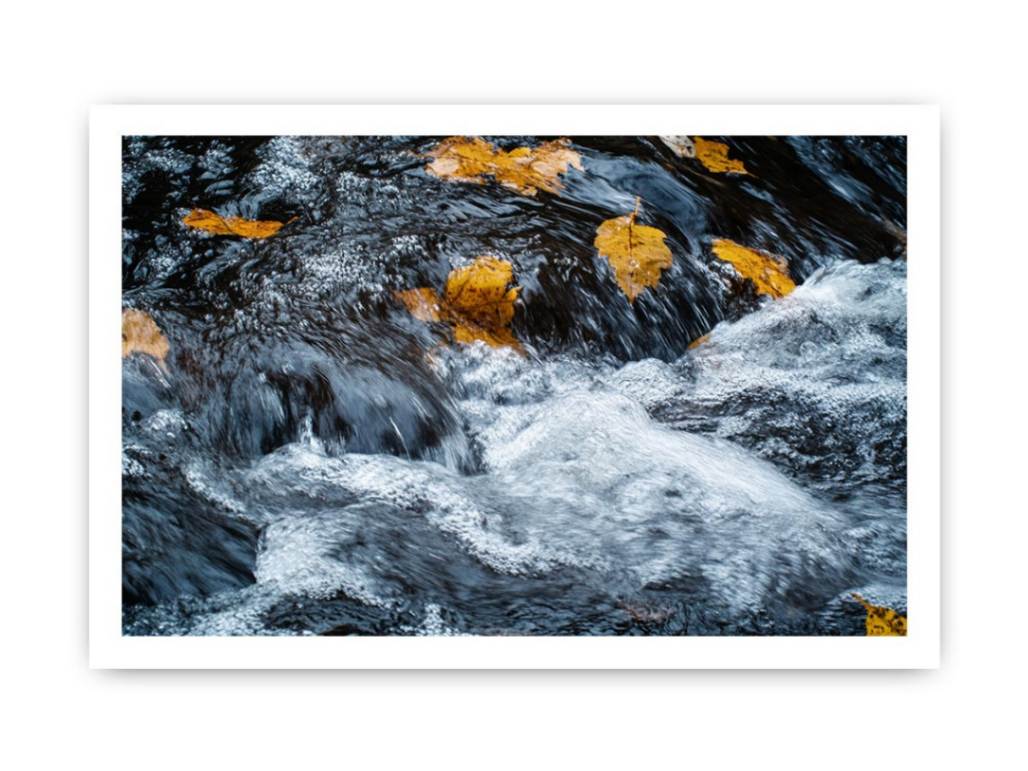 Rushing river photography canvas with autumn leaves for modern office or living room decor.
