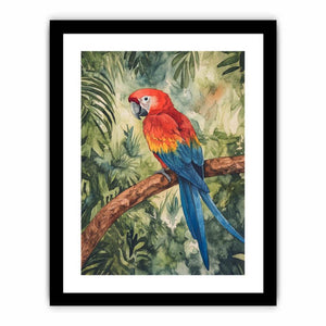Framed Print