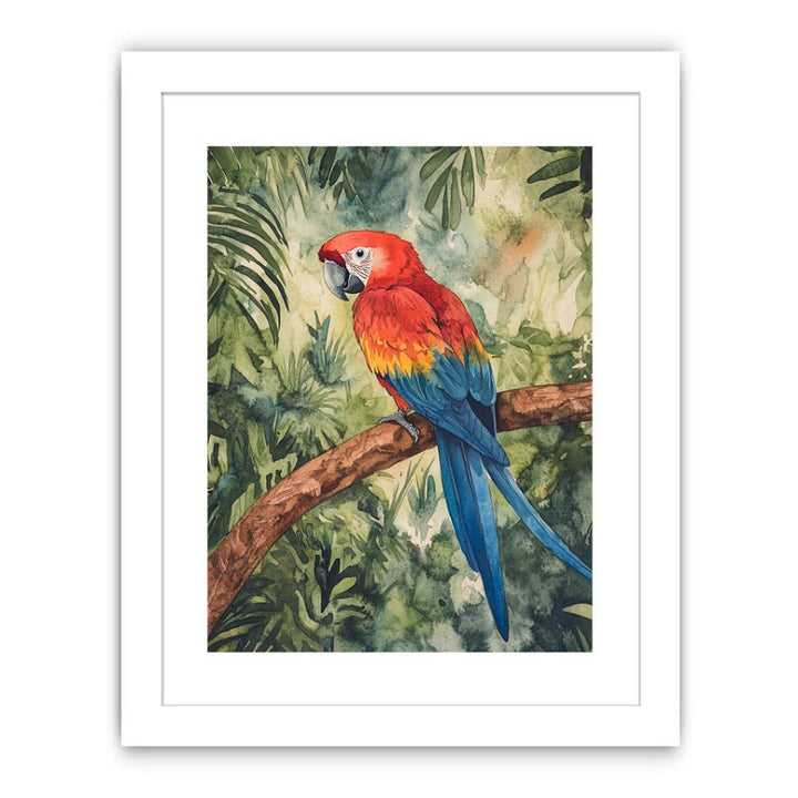 Crimson Sky Parrot Streched canvas