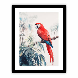 Framed Print