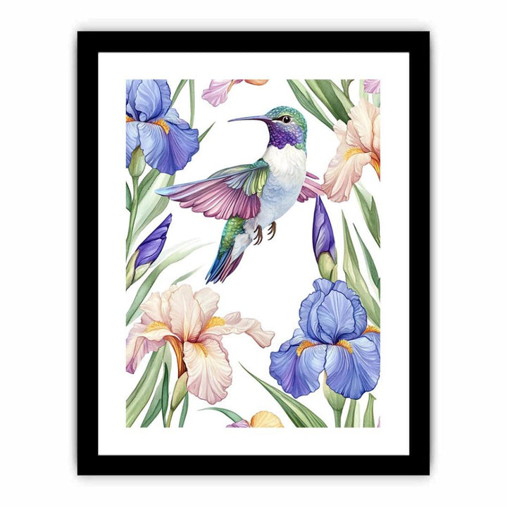 Colorful Hummingbird  Art Print
